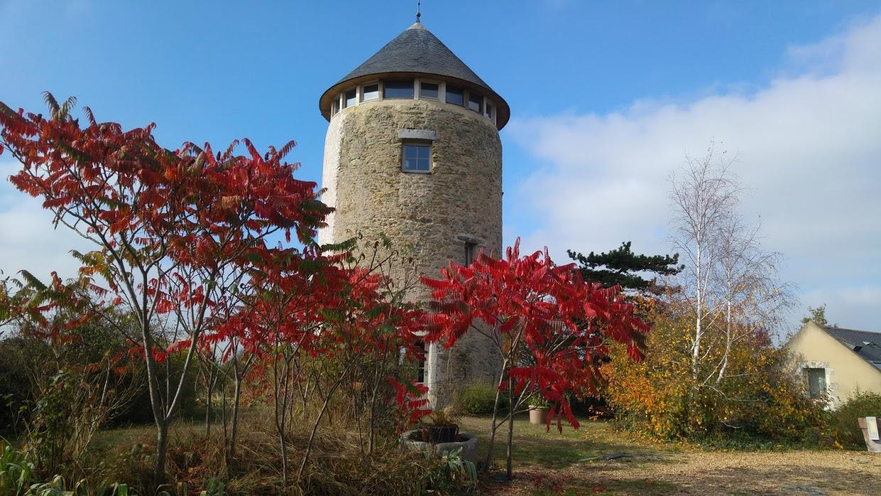 Moulin Géant (B & B) · Rochefort-sur-Loire, Pays de la Loire